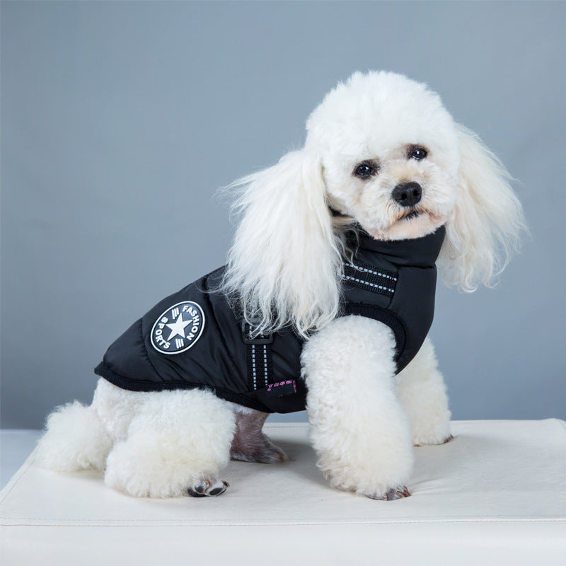 Hund i vadderat hundtäcke med sele
