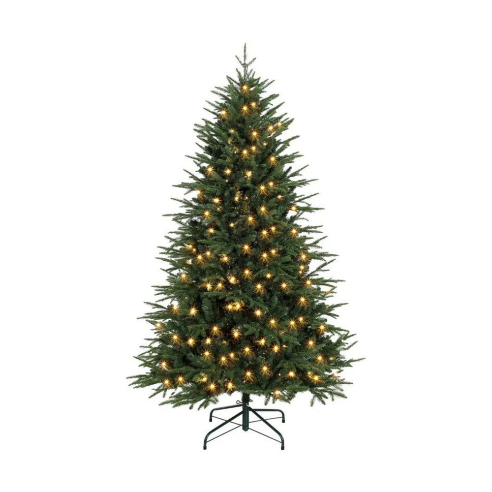 Fyllig grön julgran med varmvita ljus